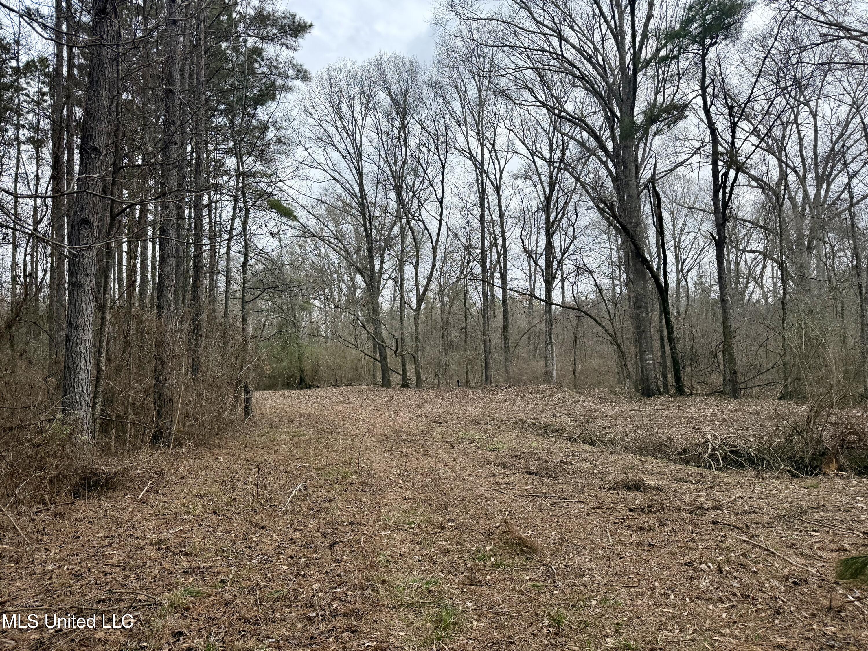 3368 Highway 17 Pickens, MS 39146 - Photo 37 of 84 IMG_0137