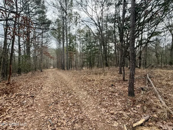 $399,000 | 3368 Highway 17, Pickens, MS 39146