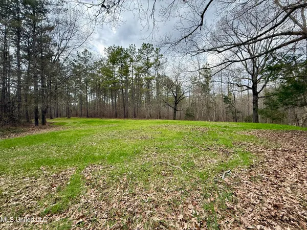 $399,000 | 3368 Highway 17, Pickens, MS 39146