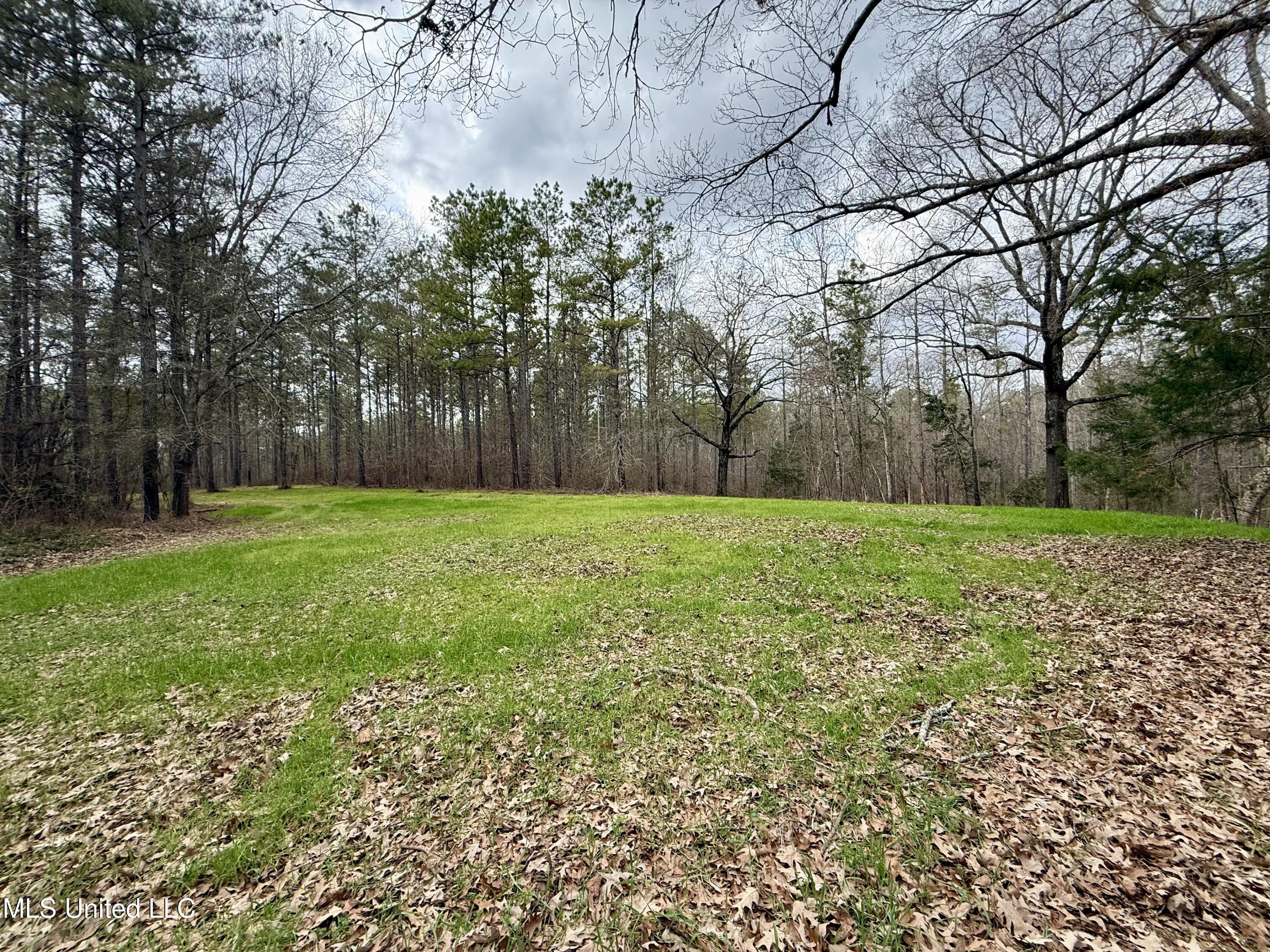 3368 Highway 17 Pickens, MS 39146 - Photo 4 of 81 IMG_0087