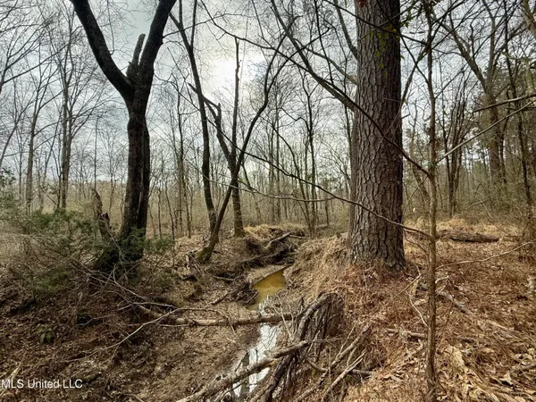 $399,000 | 3368 Highway 17, Pickens, MS 39146