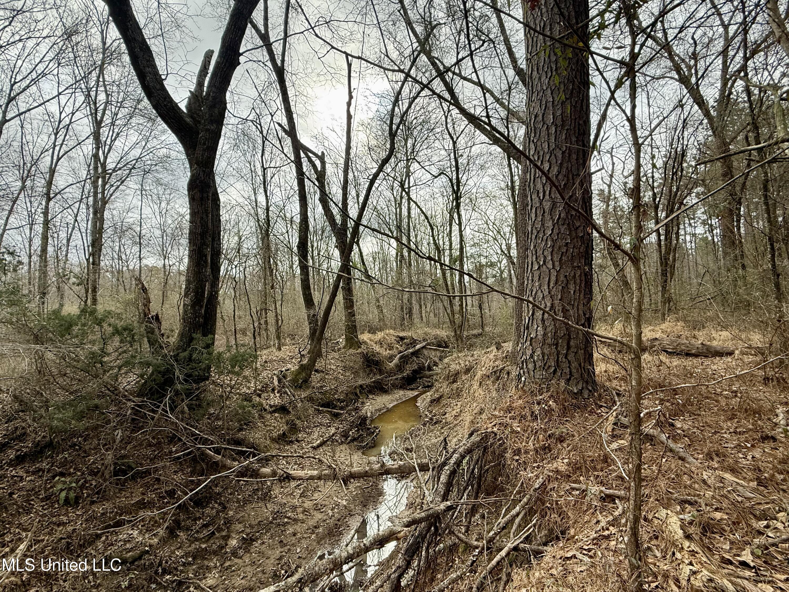 3368 Highway 17 Pickens, MS 39146 - Photo 41 of 84 IMG_0146