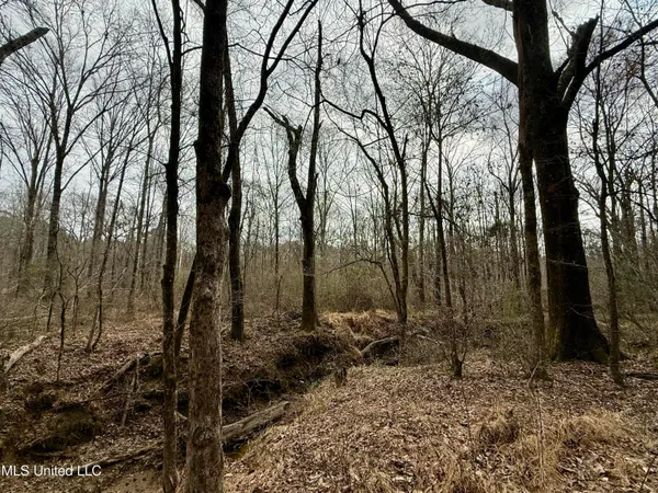 $399,000 | 3368 Highway 17, Pickens, MS 39146