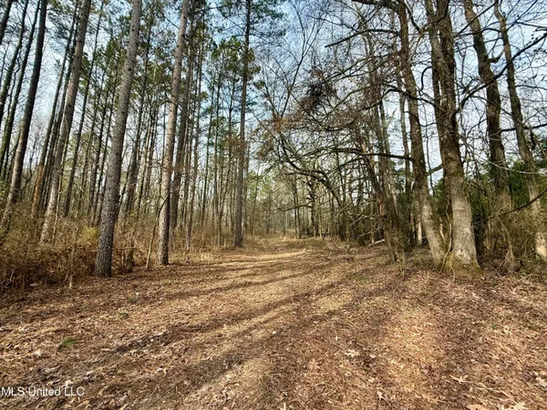 $399,000 | 3368 Highway 17, Pickens, MS 39146