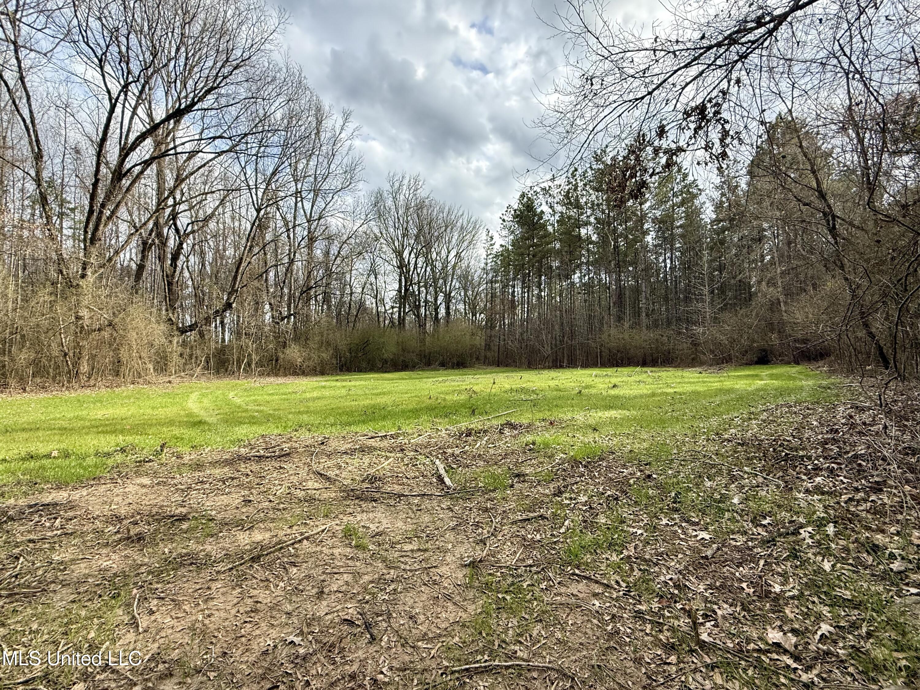 3368 Highway 17 Pickens, MS 39146 - Photo 45 of 81 IMG_0037