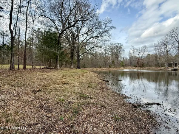 $399,000 | 3368 Highway 17, Pickens, MS 39146
