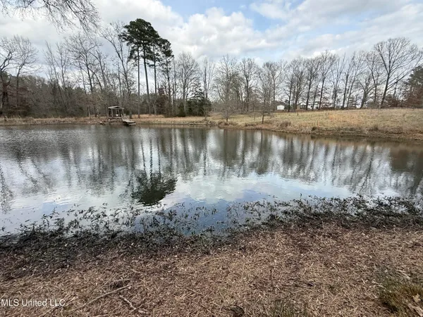 $399,000 | 3368 Highway 17, Pickens, MS 39146