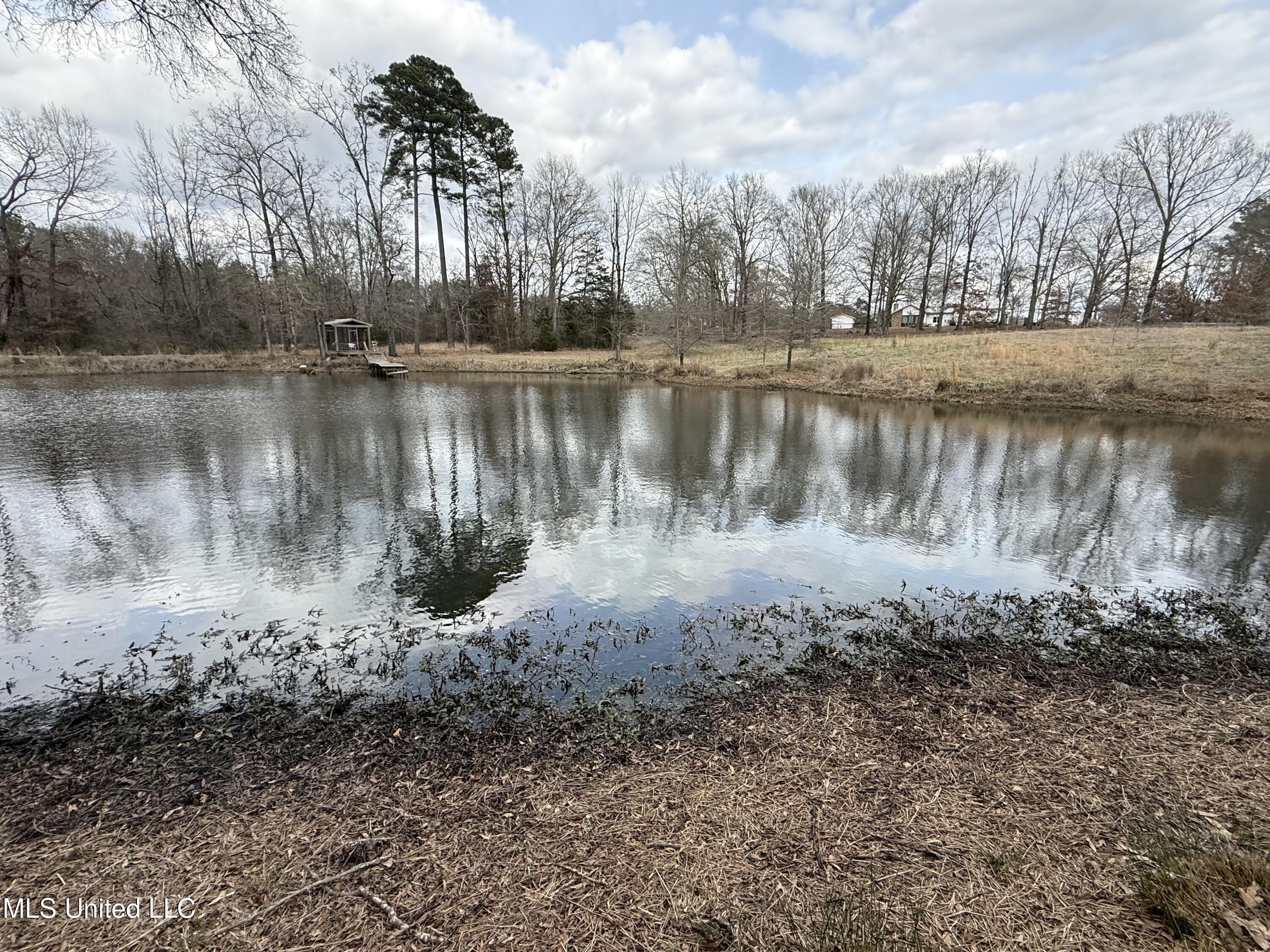 3368 Highway 17 Pickens, MS 39146 - Photo 46 of 84 IMG_9946