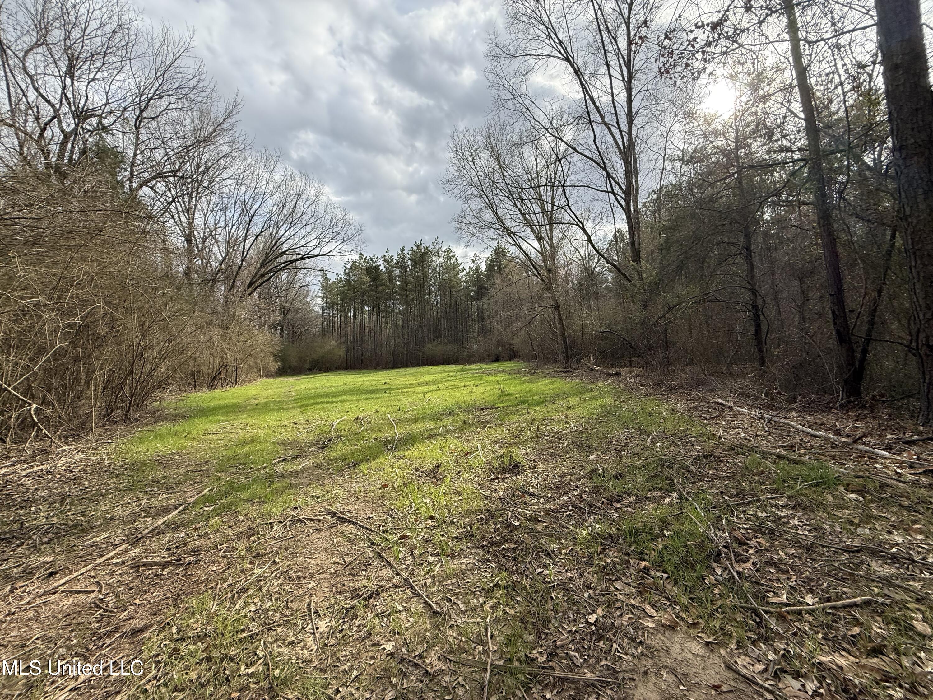 3368 Highway 17 Pickens, MS 39146 - Photo 46 of 81 IMG_0053