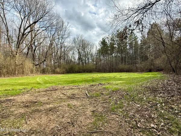 $399,000 | 3368 Highway 17, Pickens, MS 39146
