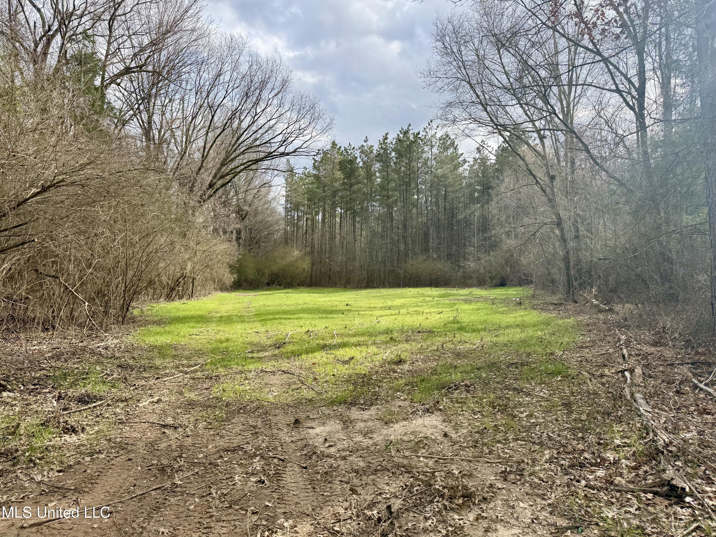 3368 Highway 17 Pickens, MS 39146 - Photo 47 of 81 IMG_0056