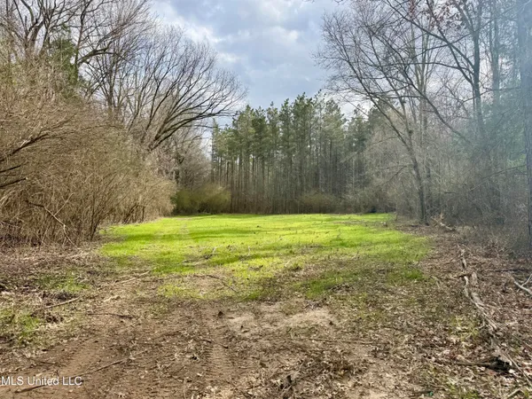 $399,000 | 3368 Highway 17, Pickens, MS 39146