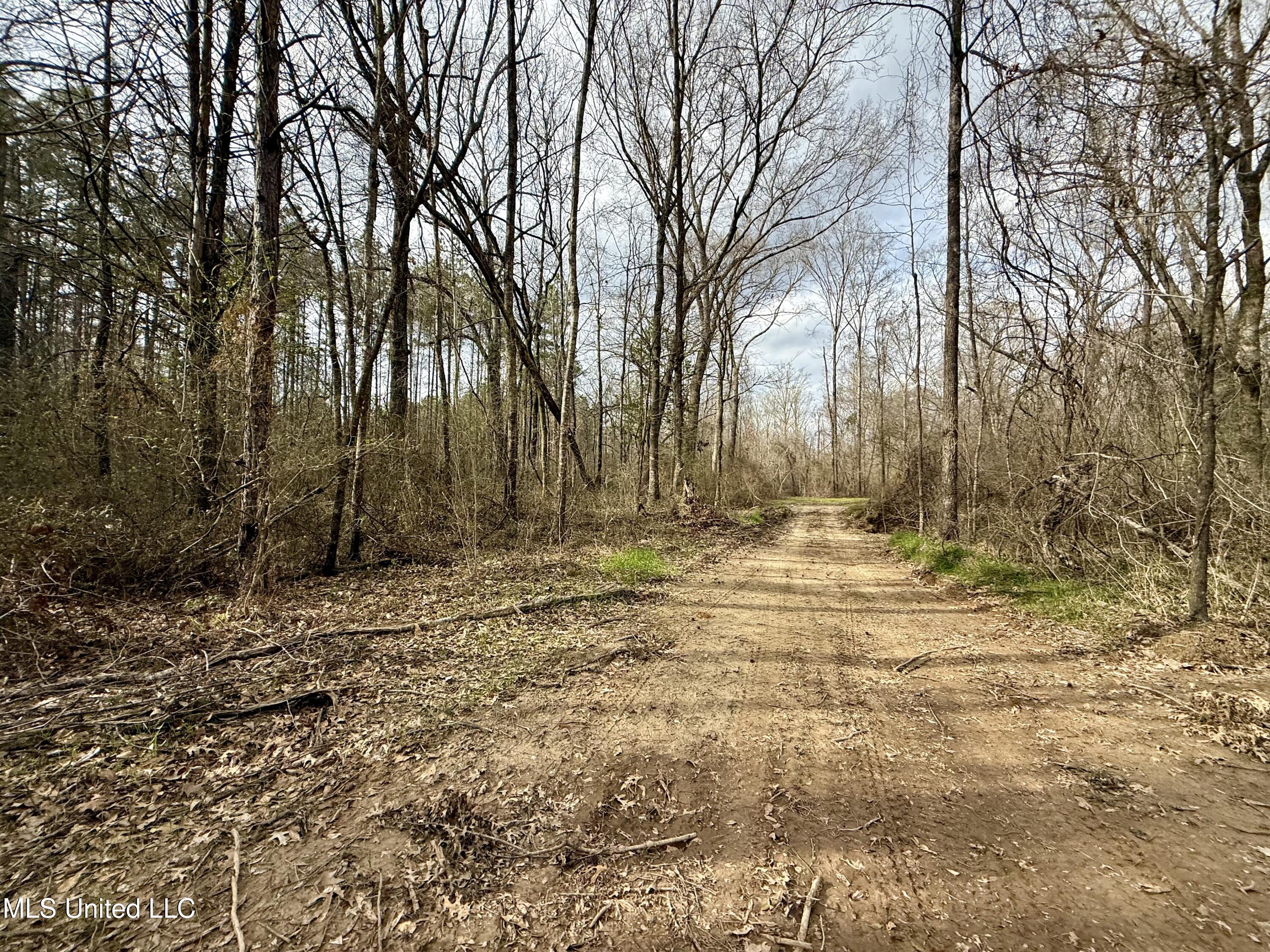 3368 Highway 17 Pickens, MS 39146 - Photo 50 of 84 IMG_0052