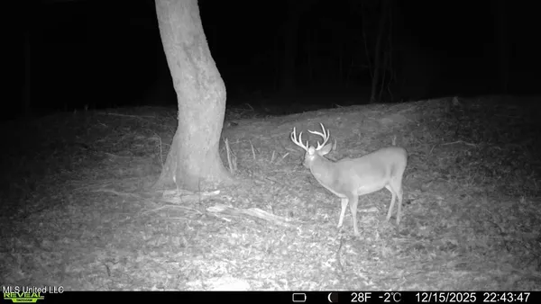 $399,000 | 3368 Highway 17, Pickens, MS 39146