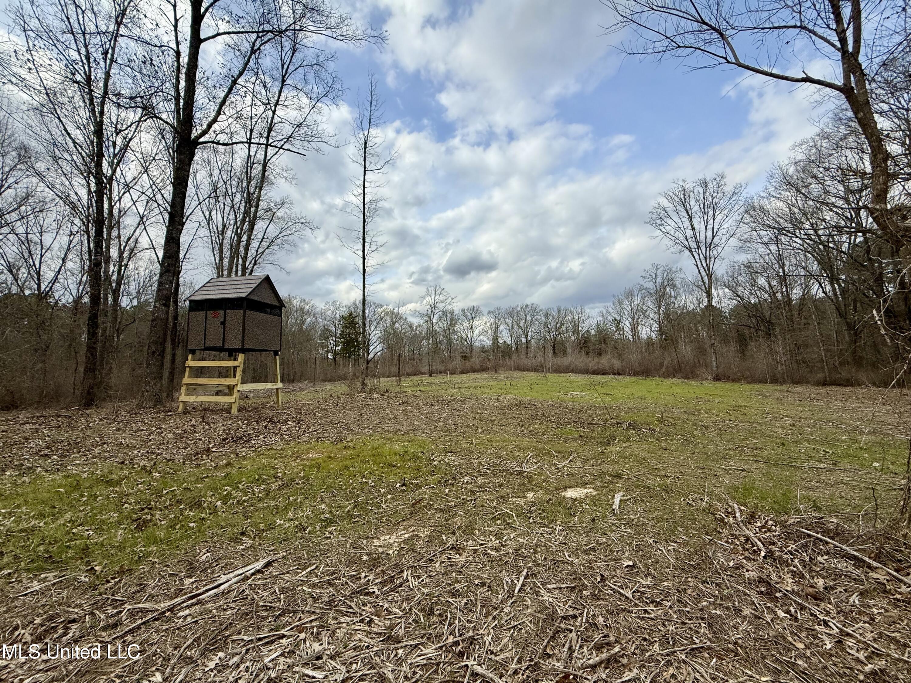 3368 Highway 17 Pickens, MS 39146 - Photo 51 of 81 IMG_0065