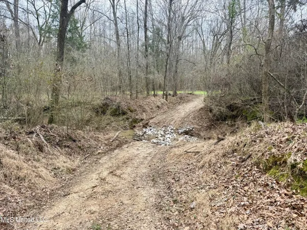 $399,000 | 3368 Highway 17, Pickens, MS 39146