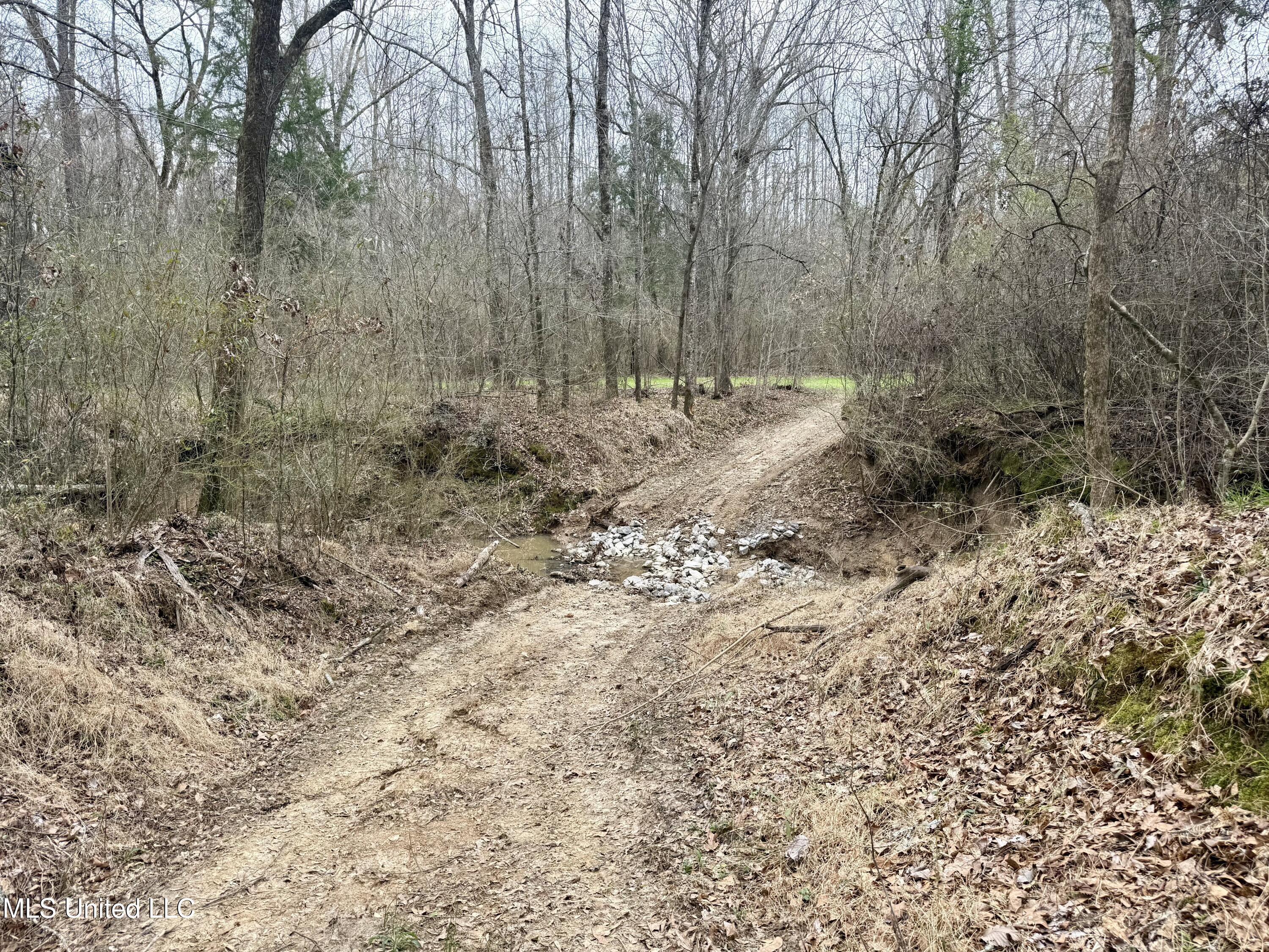 3368 Highway 17 Pickens, MS 39146 - Photo 51 of 84 IMG_0070