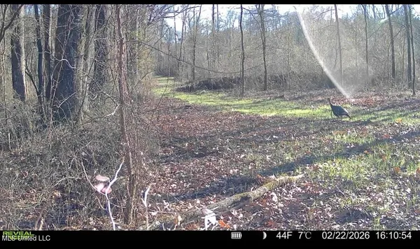 $399,000 | 3368 Highway 17, Pickens, MS 39146
