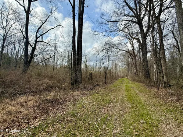 $399,000 | 3368 Highway 17, Pickens, MS 39146