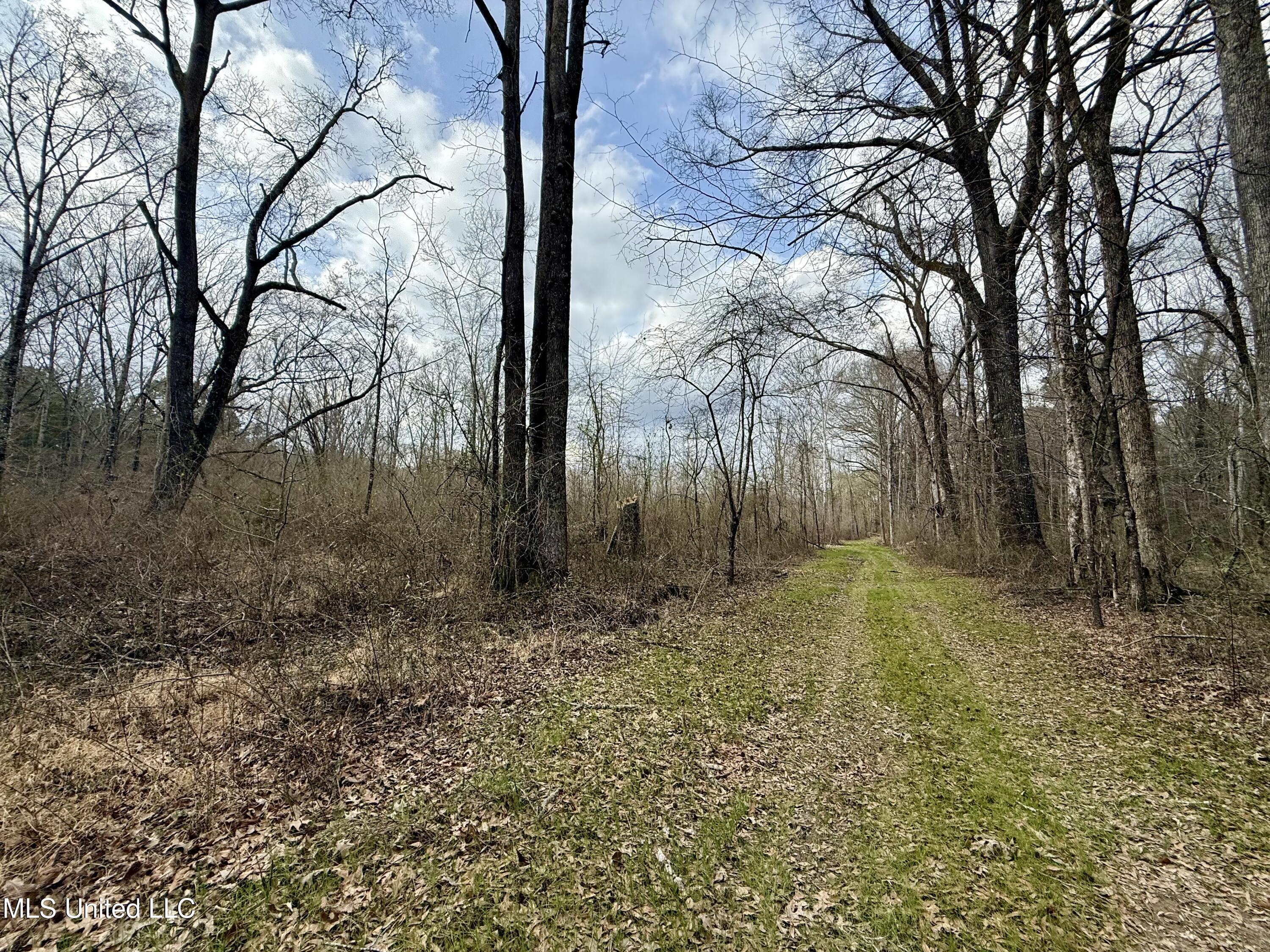 3368 Highway 17 Pickens, MS 39146 - Photo 54 of 84 IMG_0061