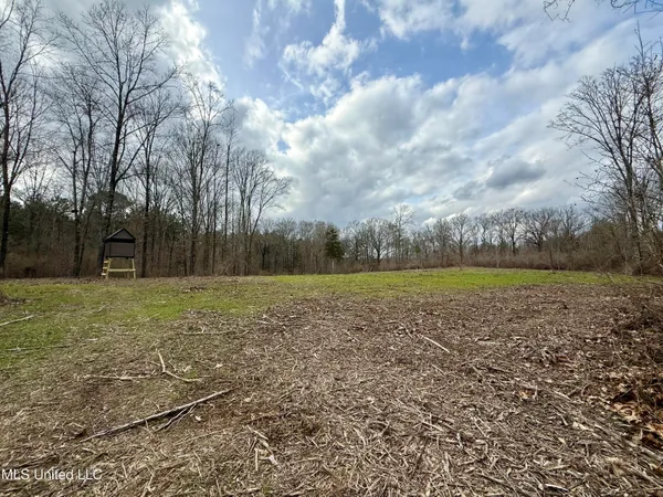 $399,000 | 3368 Highway 17, Pickens, MS 39146