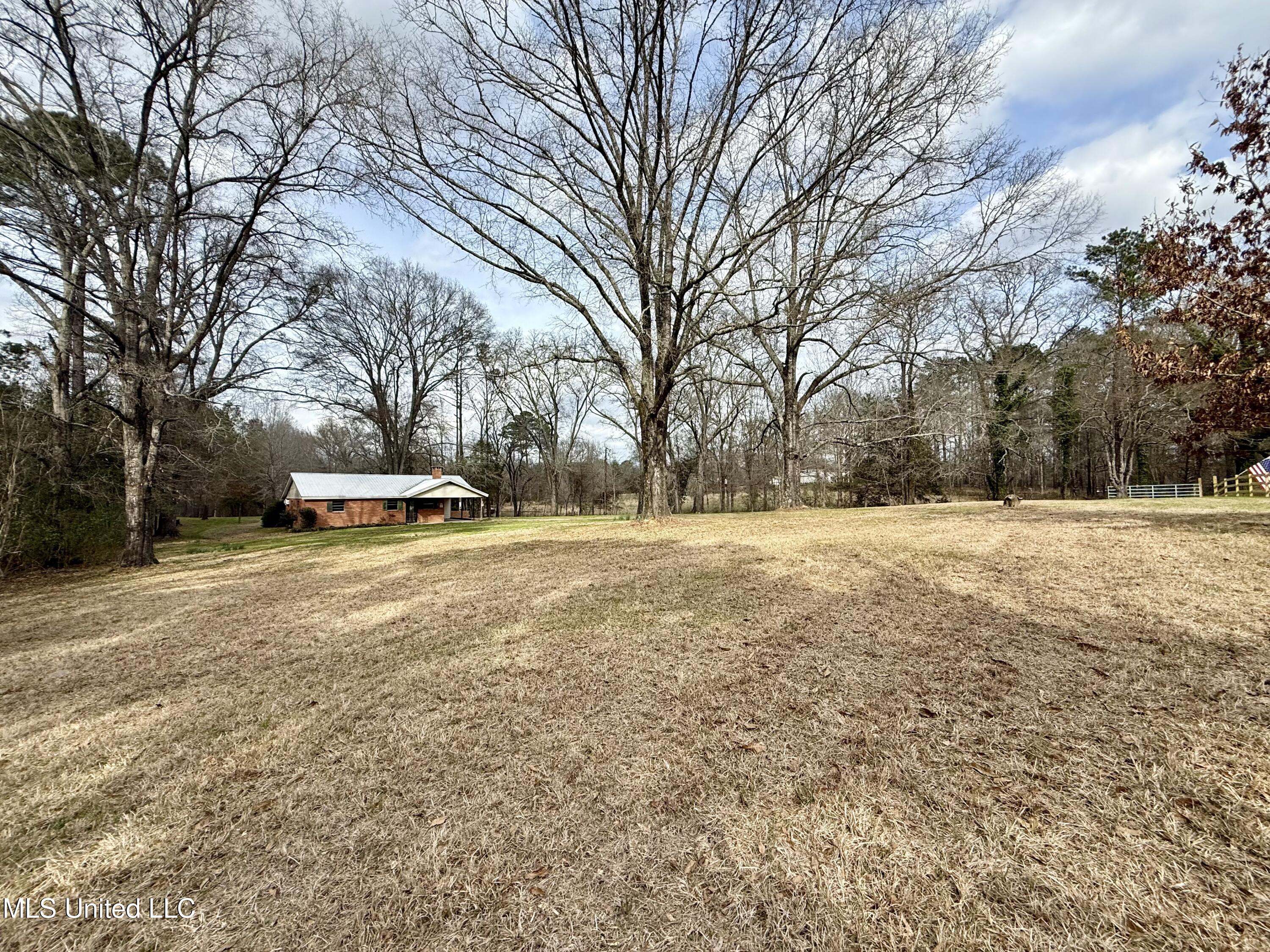 3368 Highway 17 Pickens, MS 39146 - Photo 56 of 81 IMG_9970