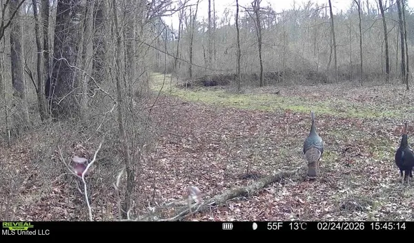 $399,000 | 3368 Highway 17, Pickens, MS 39146