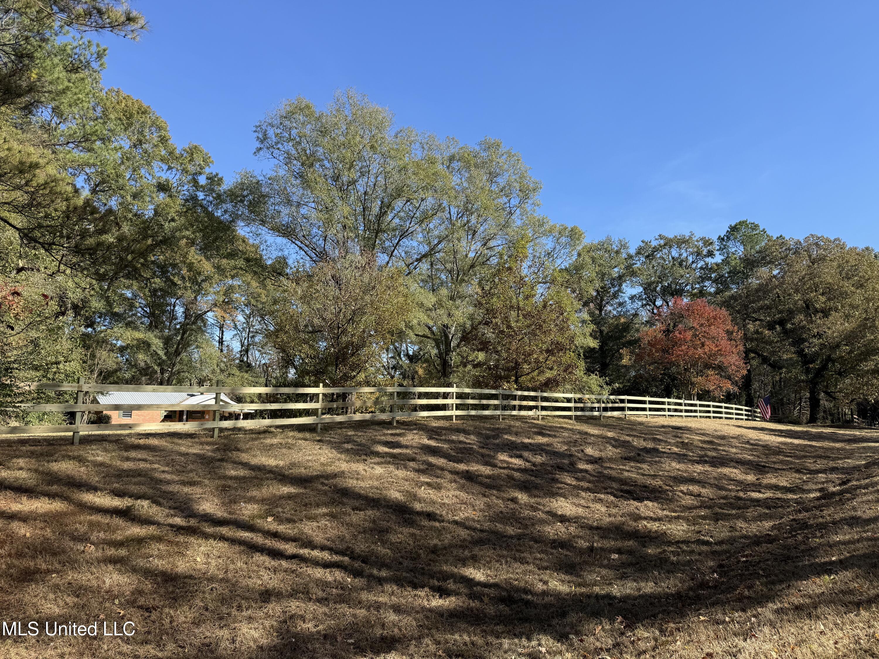 3368 Highway 17 Pickens, MS 39146 - Photo 57 of 81 IMG_8230