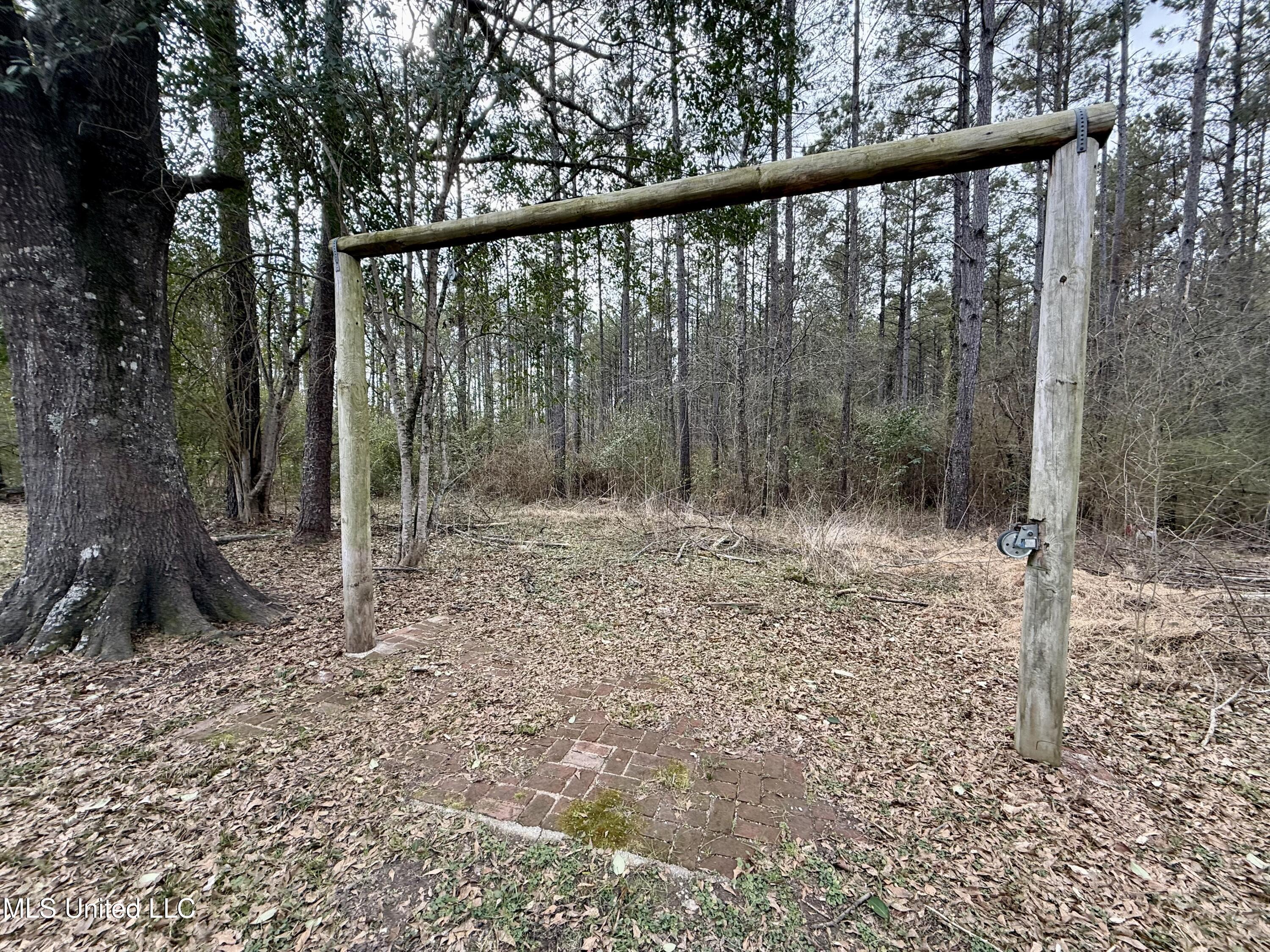 3368 Highway 17 Pickens, MS 39146 - Photo 59 of 81 IMG_9966