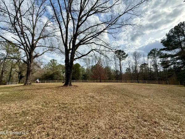 $399,000 | 3368 Highway 17, Pickens, MS 39146