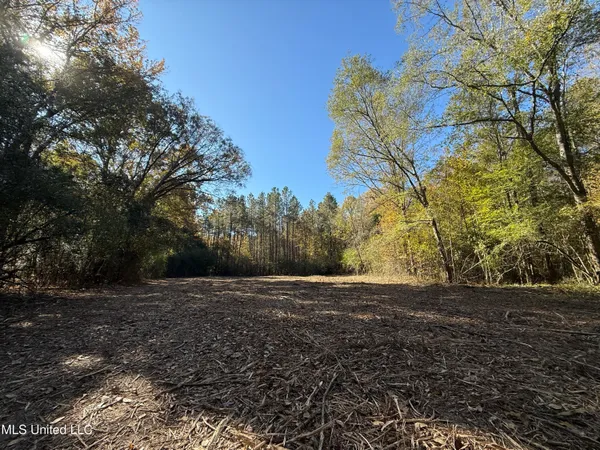 $399,000 | 3368 Highway 17, Pickens, MS 39146