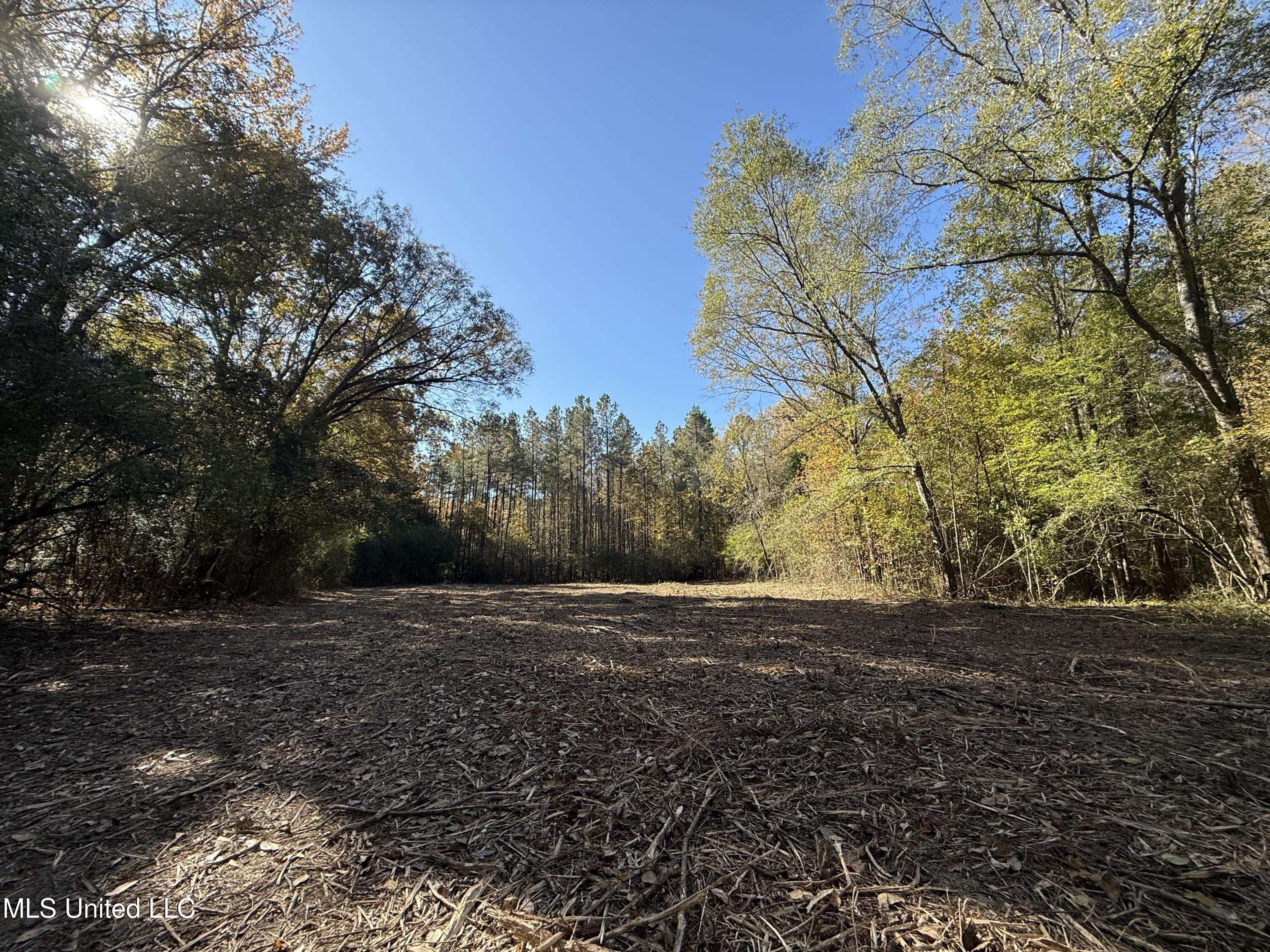 3368 Highway 17 Pickens, MS 39146 - Photo 64 of 84 IMG_8197