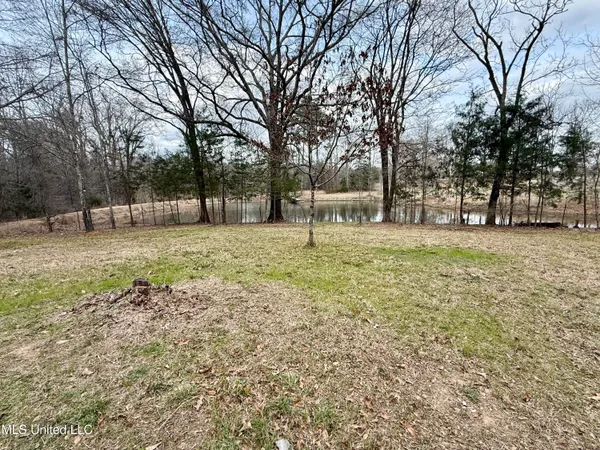 $399,000 | 3368 Highway 17, Pickens, MS 39146