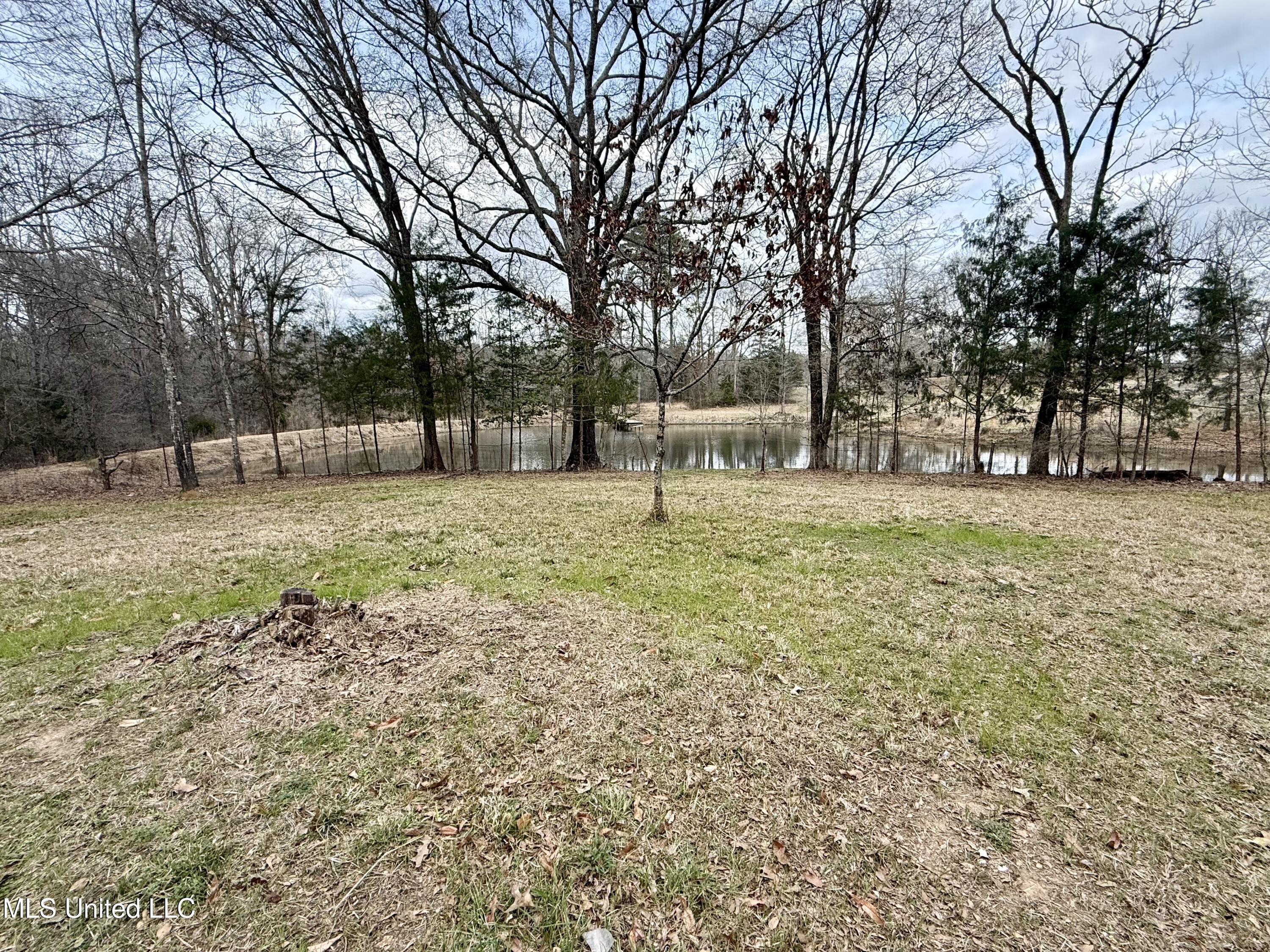 3368 Highway 17 Pickens, MS 39146 - Photo 70 of 84 IMG_9958