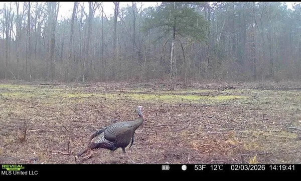 $399,000 | 3368 Highway 17, Pickens, MS 39146