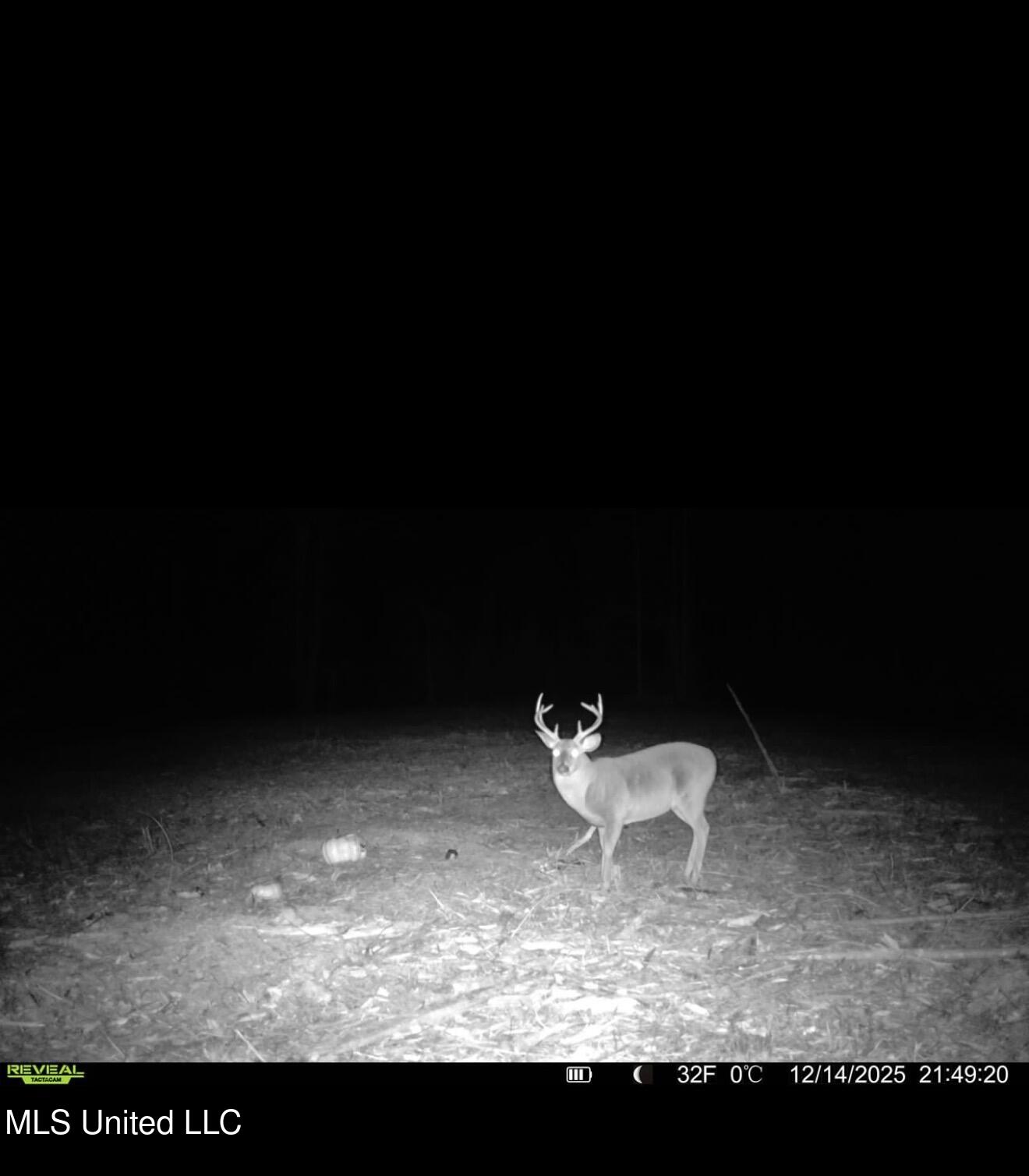 3368 Highway 17 Pickens, MS 39146 - Photo 78 of 81 A8A578D2-8240-4853-A4FC-D27A2C2D90BD