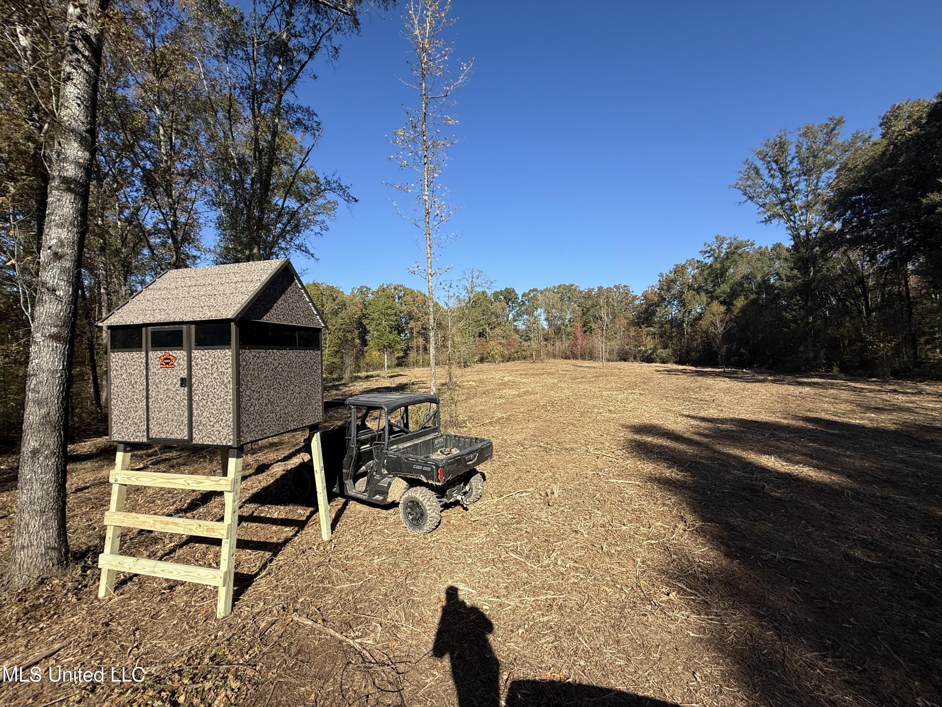 3368 Highway 17 Pickens, MS 39146 - Photo 79 of 81 IMG_8182