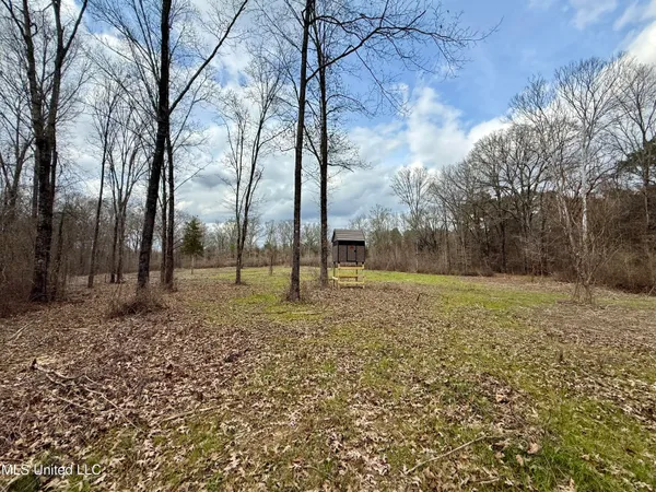 $399,000 | 3368 Highway 17, Pickens, MS 39146