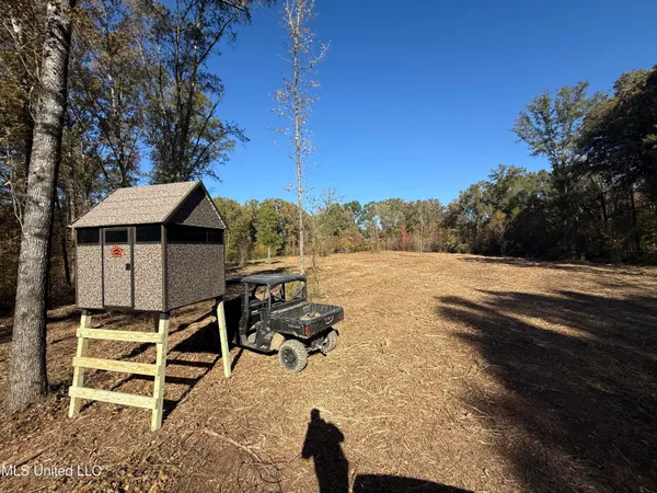 $399,000 | 3368 Highway 17, Pickens, MS 39146