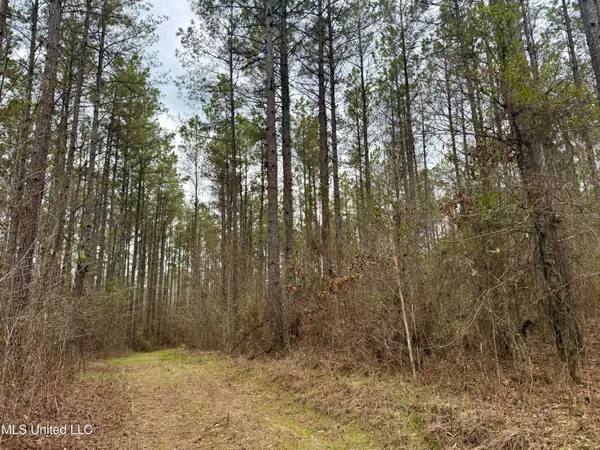 $399,000 | 3368 Highway 17, Pickens, MS 39146