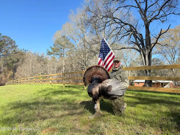 $399,000 | 3368 Highway 17, Pickens, MS 39146