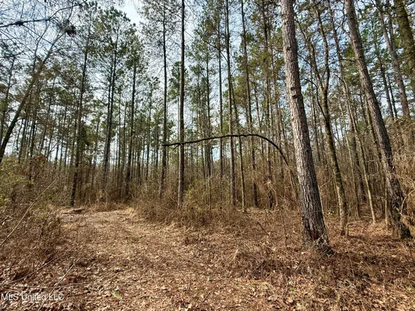 $399,000 | 3368 Highway 17, Pickens, MS 39146