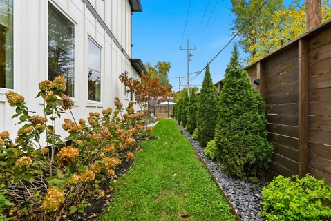 a view of a yard with plants