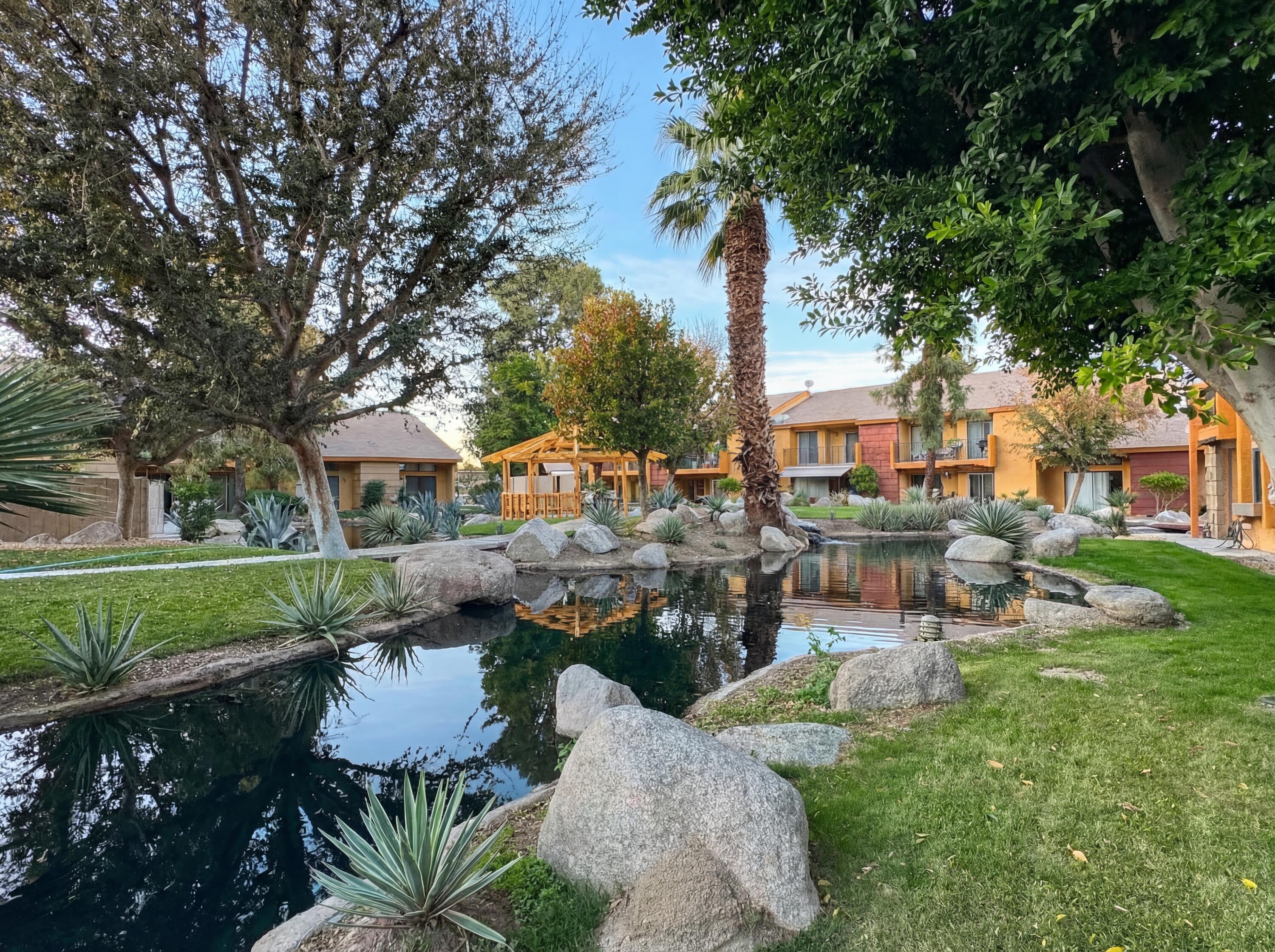 48255 Monroe Street, Unit 20 Indio, CA 92201 - Photo 20 of 21 a view of a patio with table and chairs potted plants and large tree