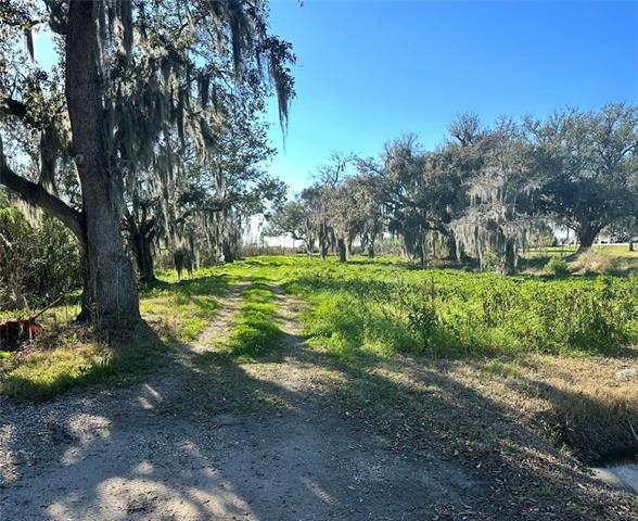 0 Jean Lafitte Boulevard Lafitte, LA 70067 - Photo 7 of 7