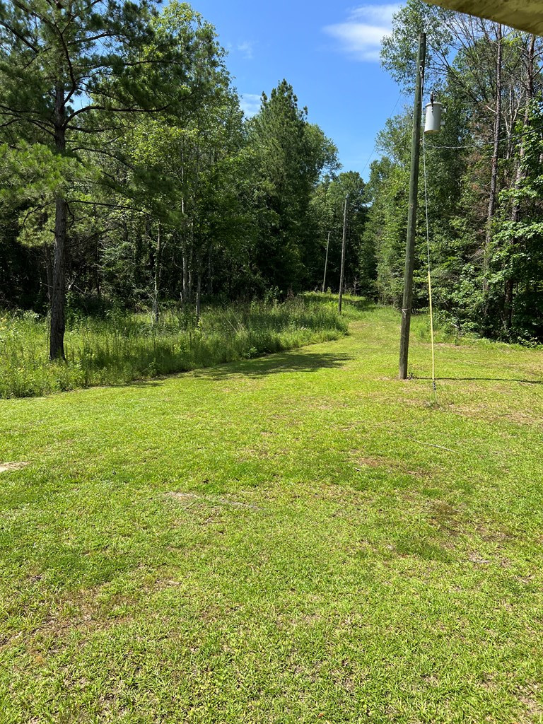 6820 Bunkley Road Meadville, MS 39653 - Photo 17 of 25 Photo 17