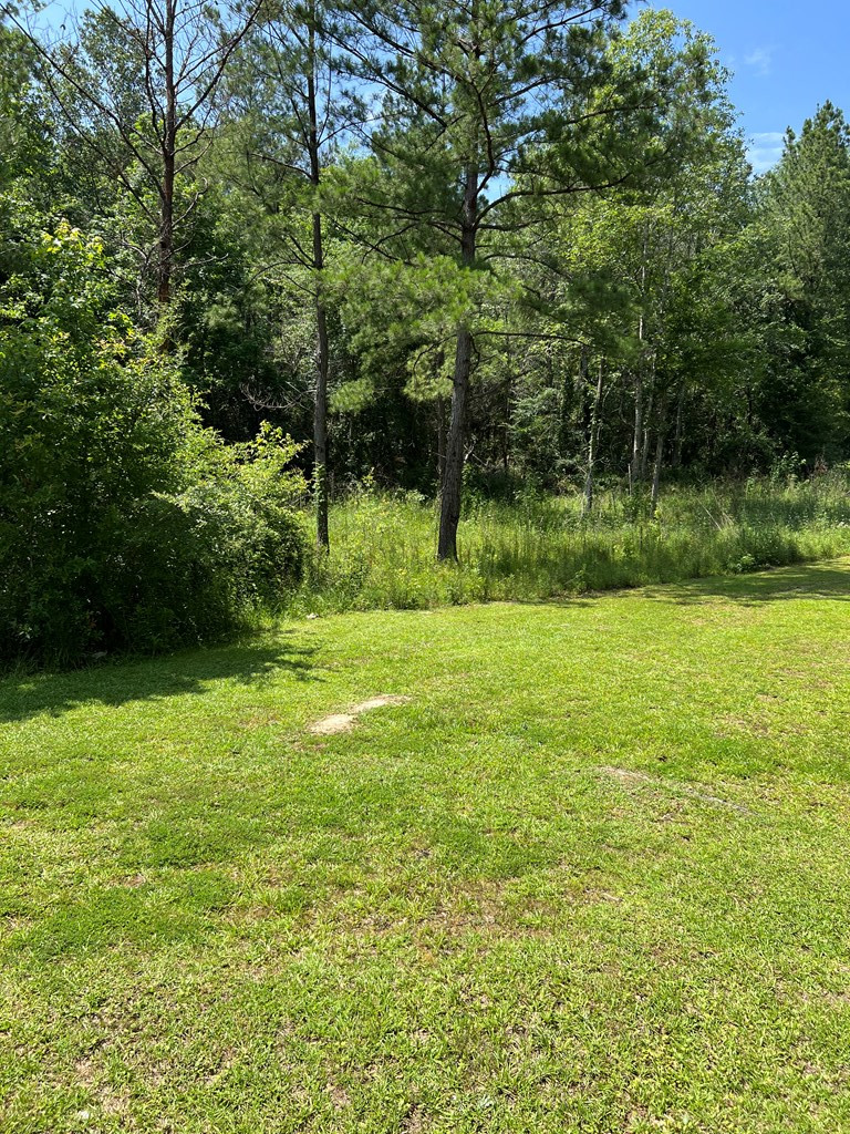 6820 Bunkley Road Meadville, MS 39653 - Photo 18 of 25 Photo 18