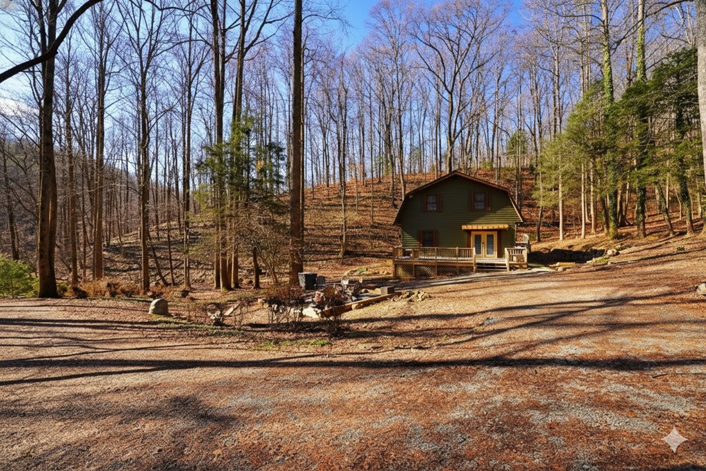 172 Sweetwater Road Cherry Log, GA 30522 - Photo 8 of 21 Gallery Image 8