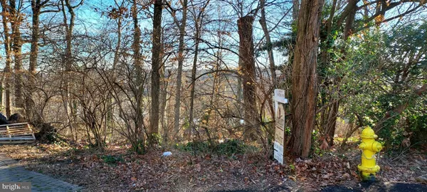 a view of a forest filled with trees