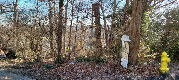 a view of yard